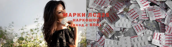 твердый Корсаков