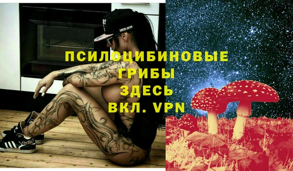ГАЛЛЮЦИНОГЕННЫЕ ГРИБЫ Костерёво