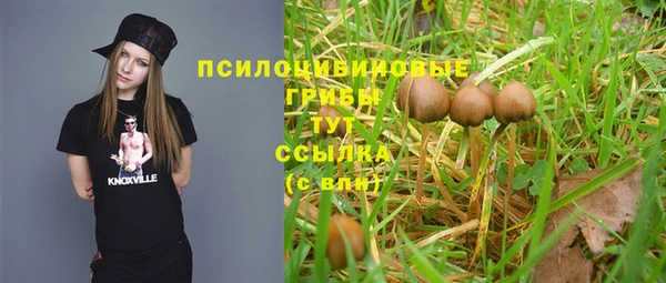 ГАЛЛЮЦИНОГЕННЫЕ ГРИБЫ Костерёво