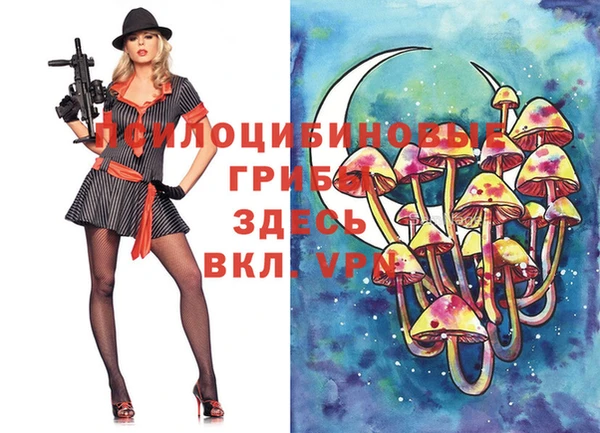 твердый Корсаков