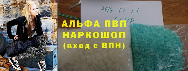 ГАЛЛЮЦИНОГЕННЫЕ ГРИБЫ Костерёво