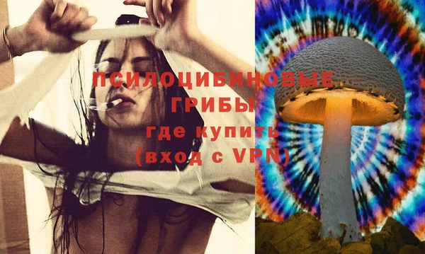 ГАЛЛЮЦИНОГЕННЫЕ ГРИБЫ Костерёво