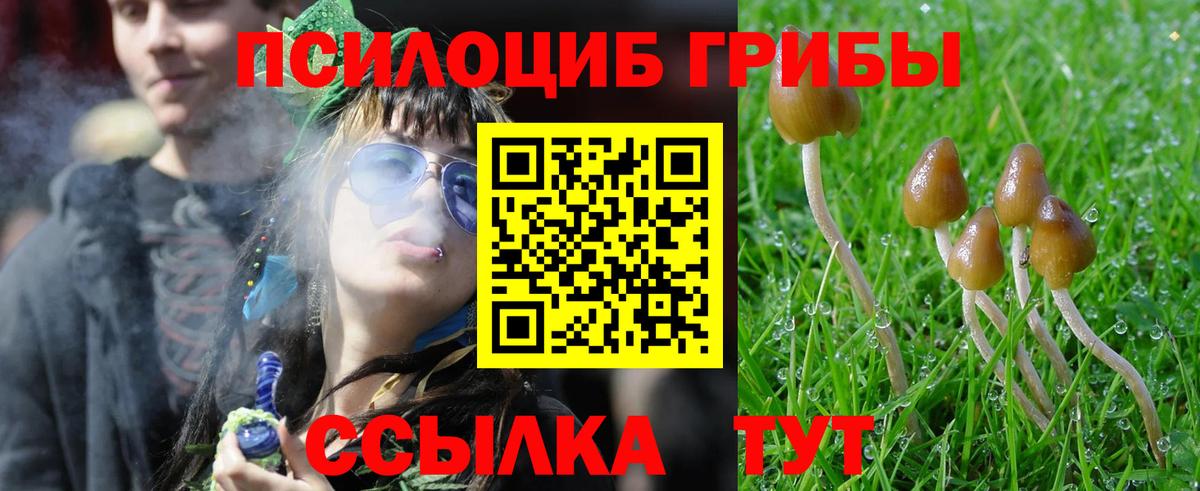 Галлюциногенные грибы Psilocybine cubensis Владивосток