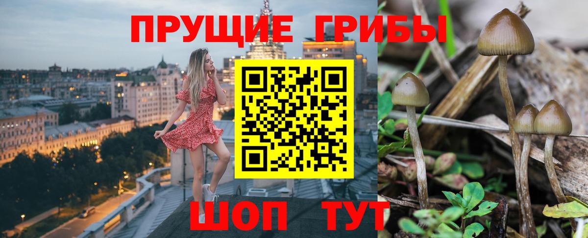 купить   Псилоцибиновые грибы мухоморы  Галлюциногенные грибы мухоморы  Вход с VPN  Владивосток 
