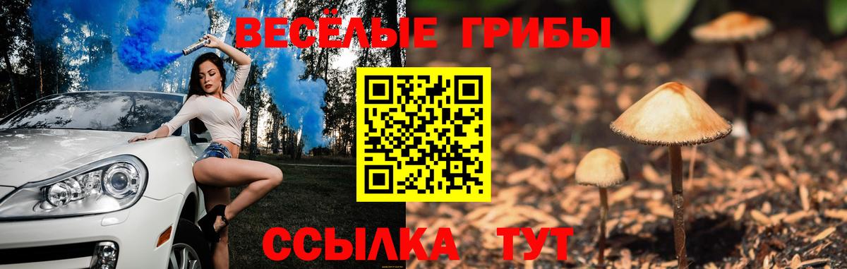 Псилоцибиновые грибы GOLDEN TEACHER  Псилоцибиновые грибы Psilocybe  хочу наркоту  Владивосток 